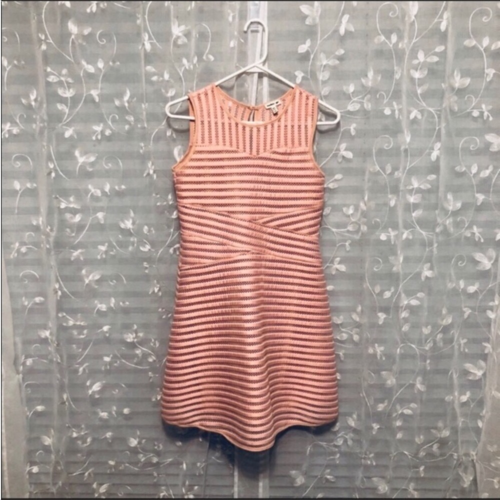 Mesh Cutout Skater Girl Dress
